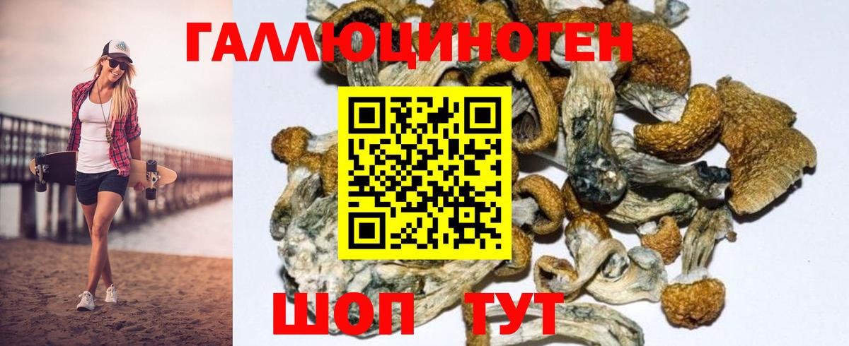 Новодвинск  Псилоцибиновые грибы GOLDEN TEACHER  Вход с VPN 